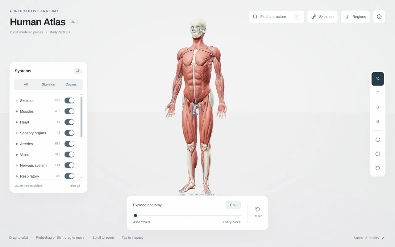 Human Atlas — Interactive 3D Anatomy