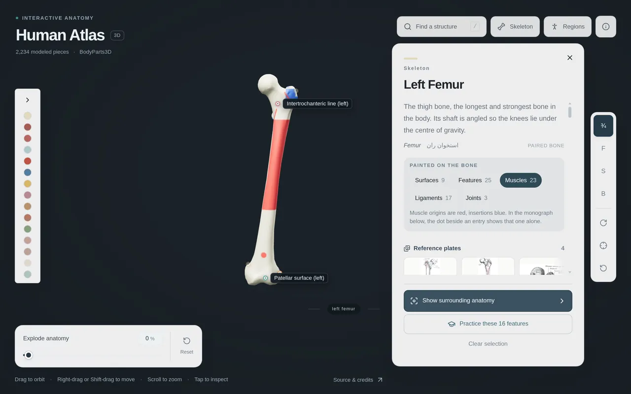 Human Atlas — Interactive 3D Anatomy — Inside the project 2