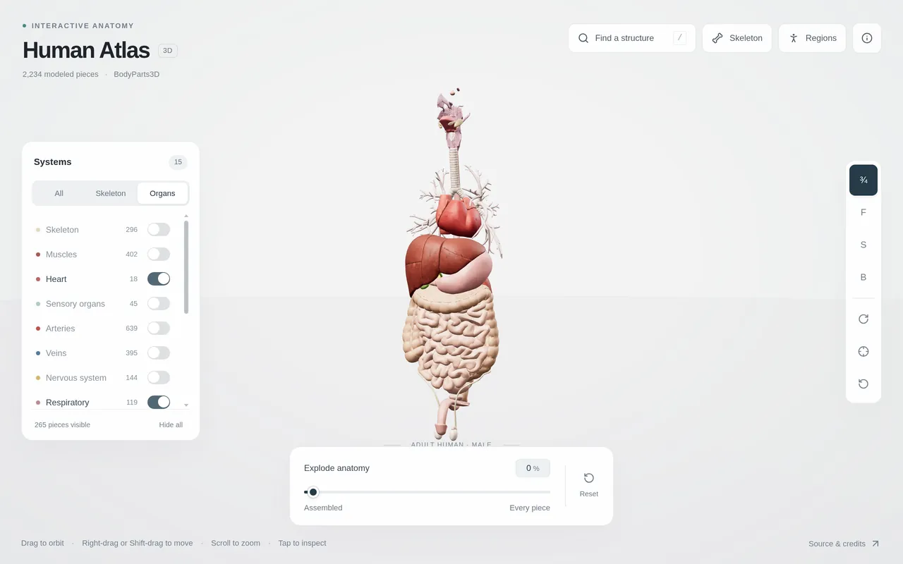 Human Atlas — Interactive 3D Anatomy — Inside the project 3