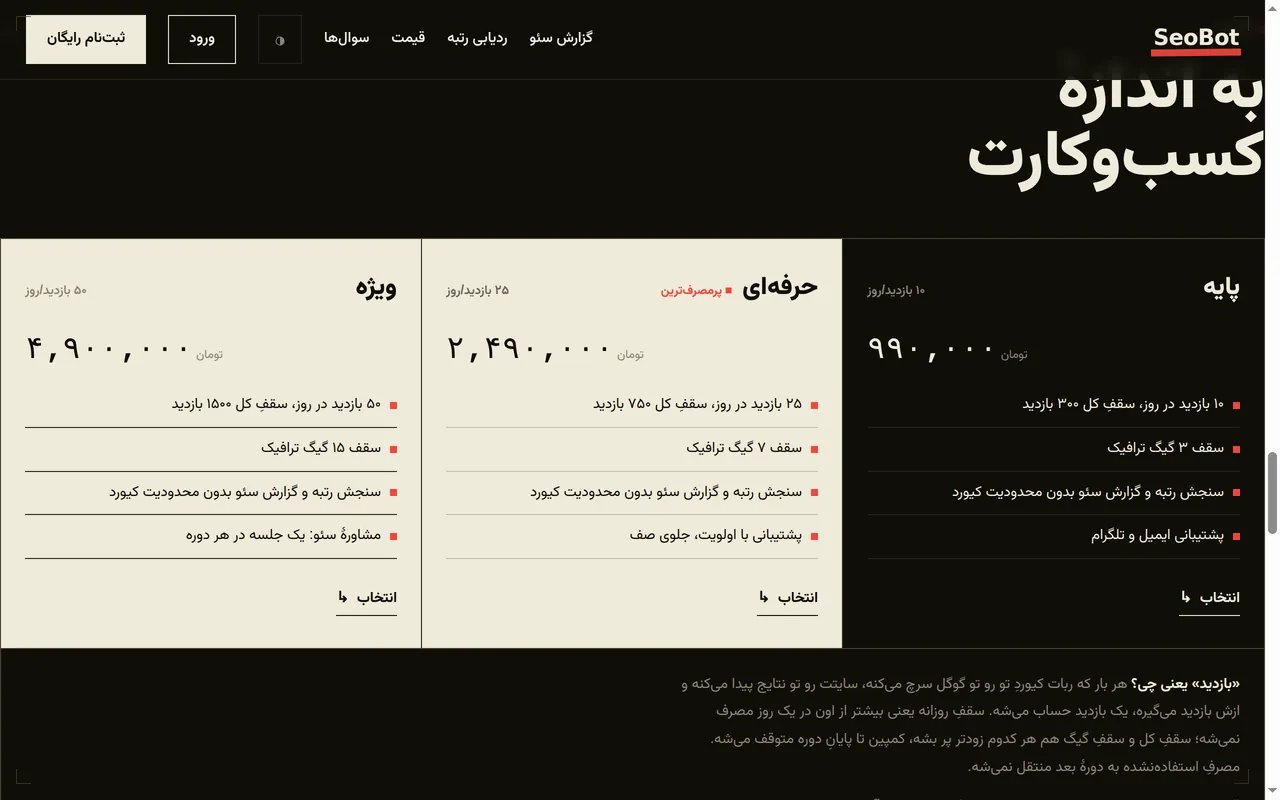SeoBot — Persian SEO Rank Tracker — Inside the project 4